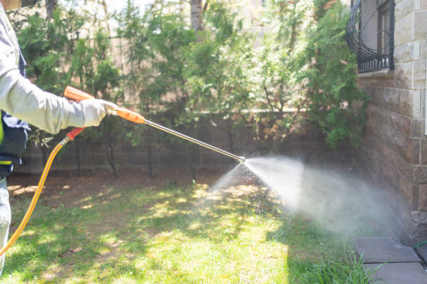 Indoor Pest Control in Joliet, IL